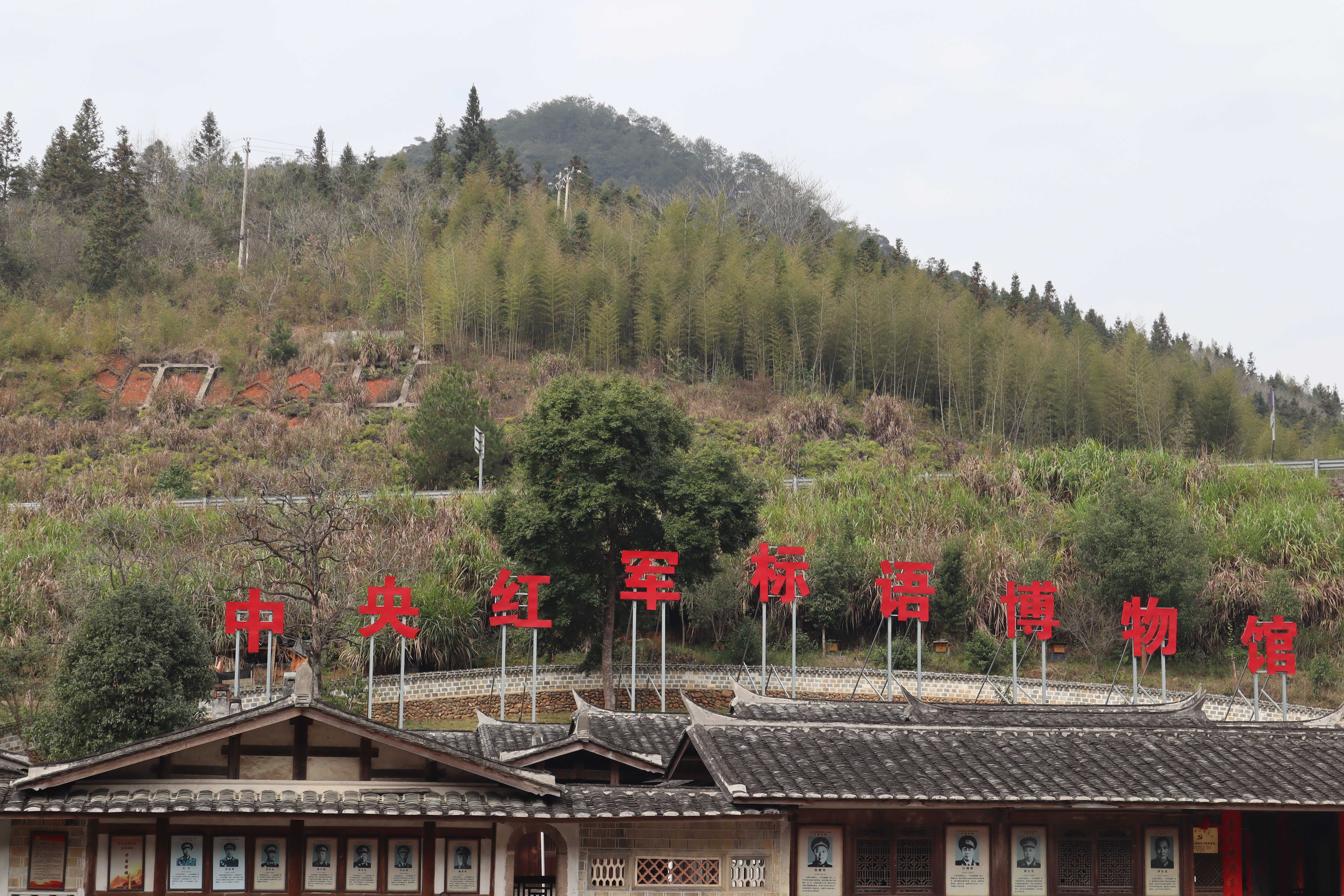 图片4.jpg 图片4.jpg